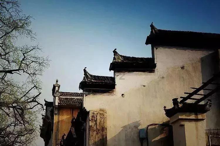 探索一个男生老是偷偷看你是什么意思,获取专业知识与互动交流